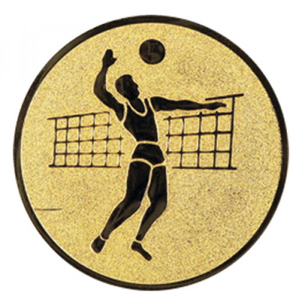 Эмблема Волейбол 139-25мм