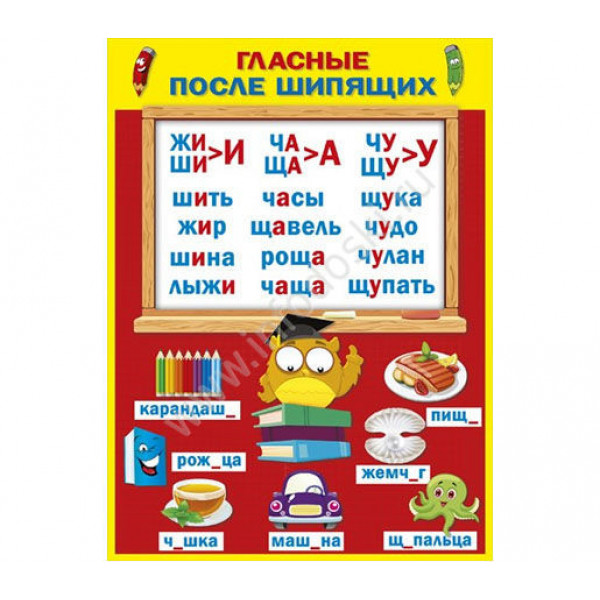 Плакат " Гласные после шипящих"