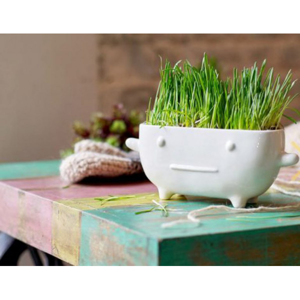 Изделие керамическое "ЭкоМонстрик"