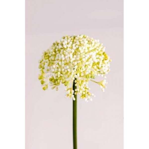 Аллиум 53см, белый