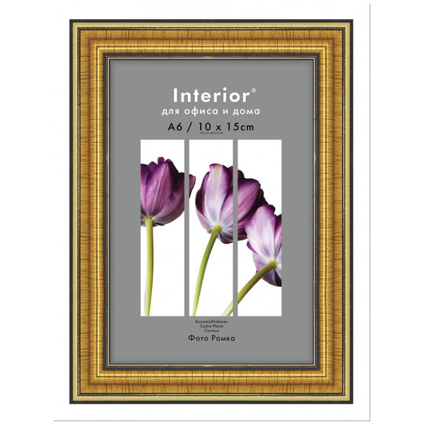 Фоторамка Interion Office 10*15 золото 286, стекло
