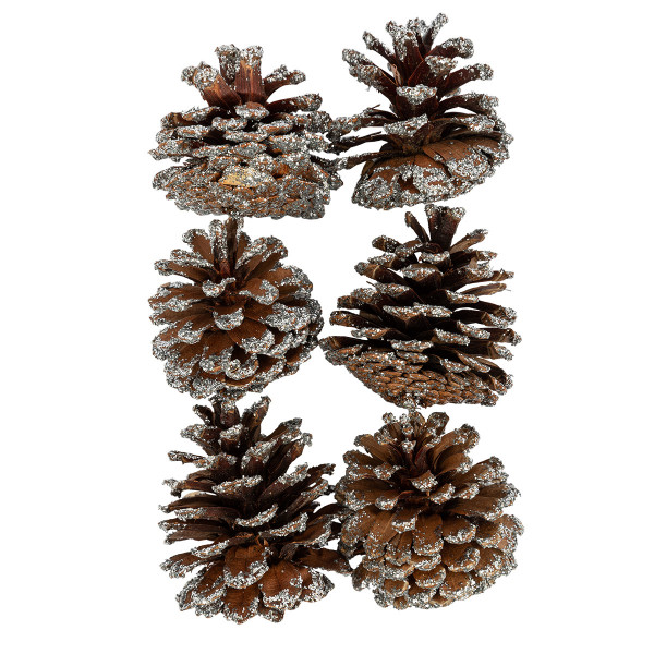 Шишки 6шт. "Сосна" под серебро