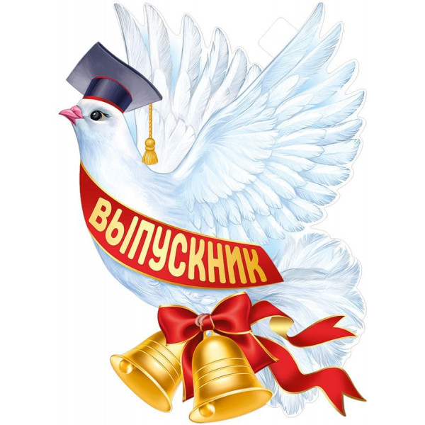 Плакат "Голубь Выпускник"