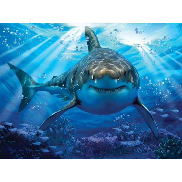 Пазлы 500  "Большая белая акула"