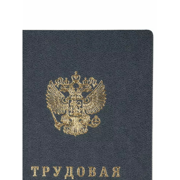 Бланк Трудовая книжка Гознак