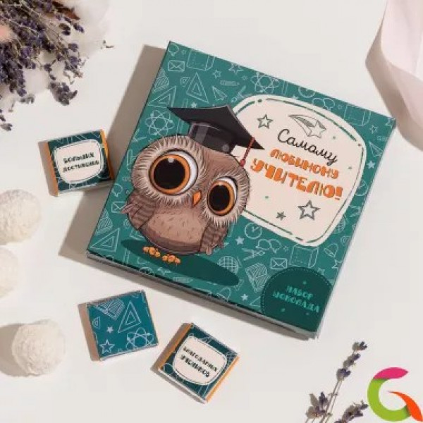 Набор 9 шоколадок "Самому любимому учителю" (совенок)