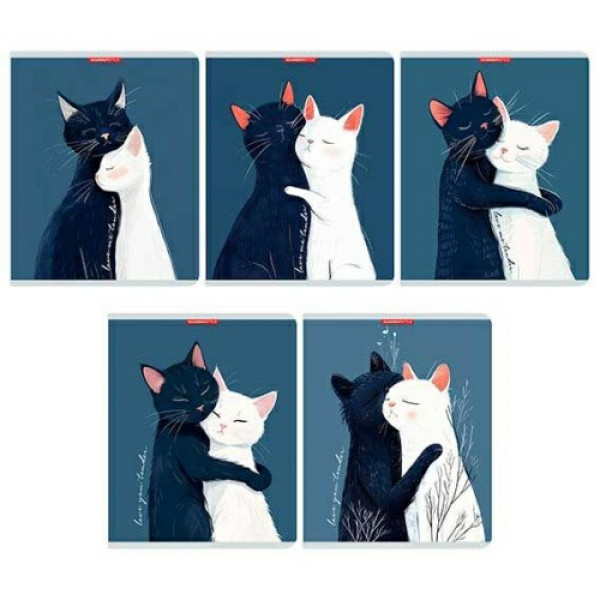 Тетрадь 96л кл. скр.