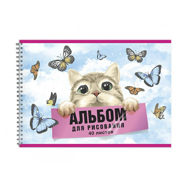 Альбом д/рисования 40л А4 Мечта кота