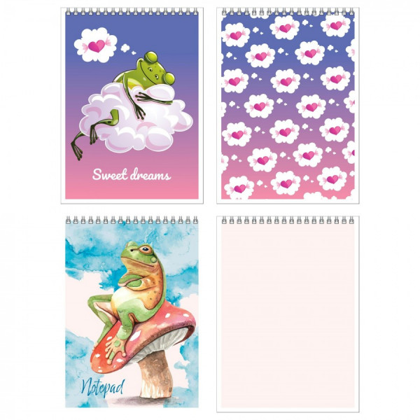Блокнот 60л.кл. А5  Лягушка в облаках спр