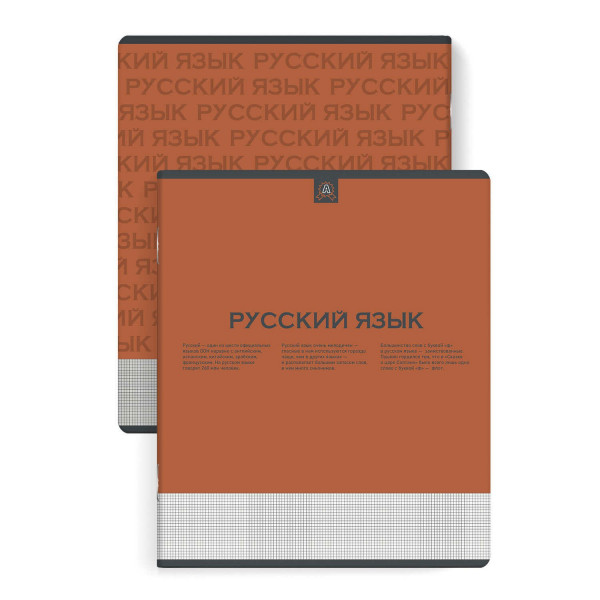 Тетрадь 48л. лин."Нескучная классика". Русский язык