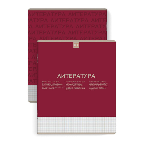Тетрадь 48л. лин."Нескучная классика". Литература
