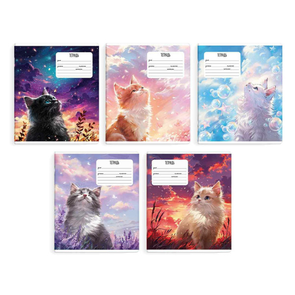 Тетрадь 24 л. кл. Мечты кота