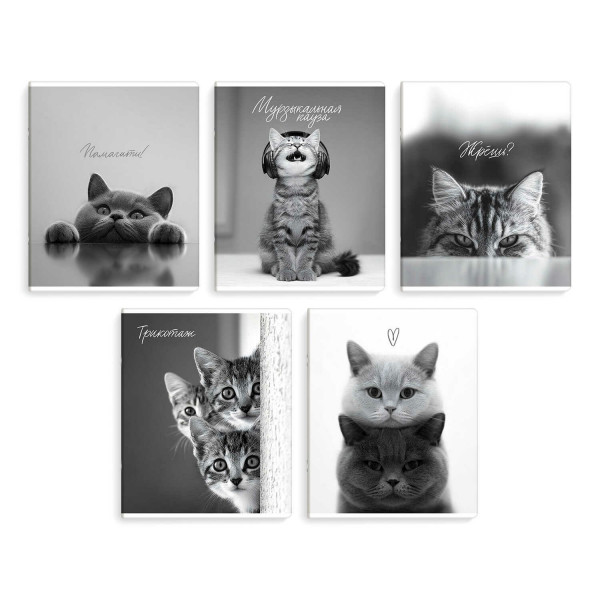 Тетрадь 48л кл. "Монохромные коты"