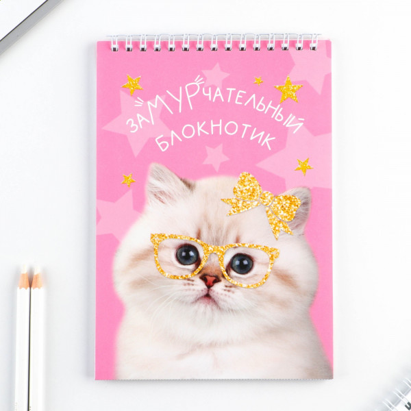 Блокнот А5 40л.кл. Котик склейка