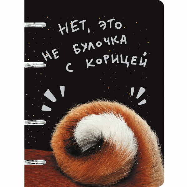 Тетрадь 100л. кл. Булочка с корицей, на кольцах
