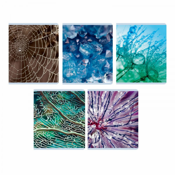 Тетрадь 96л. кл. Красота в деталях, скрепка