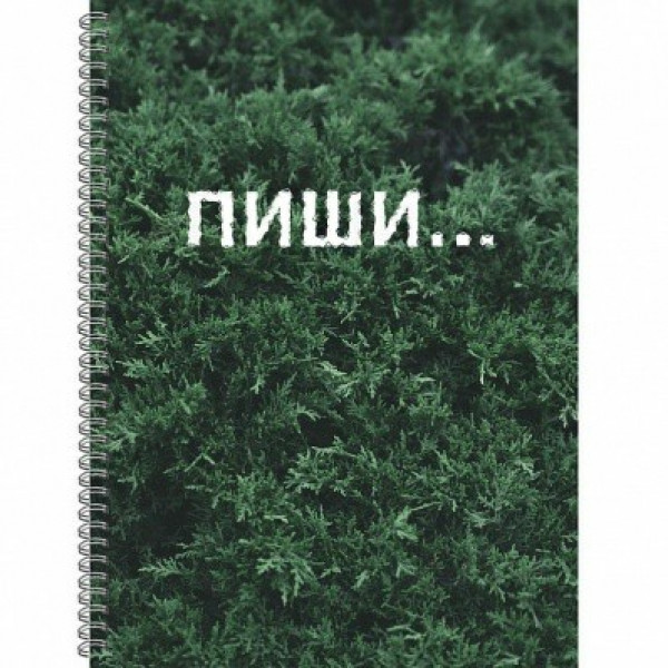 Тетрадь А4 120л.кл. Пиши, спираль