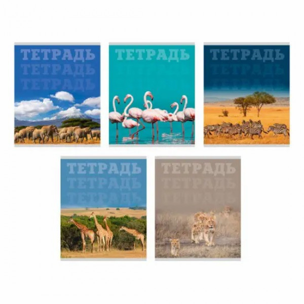 Тетрадь 80л. кл. В мире животных, скрепка