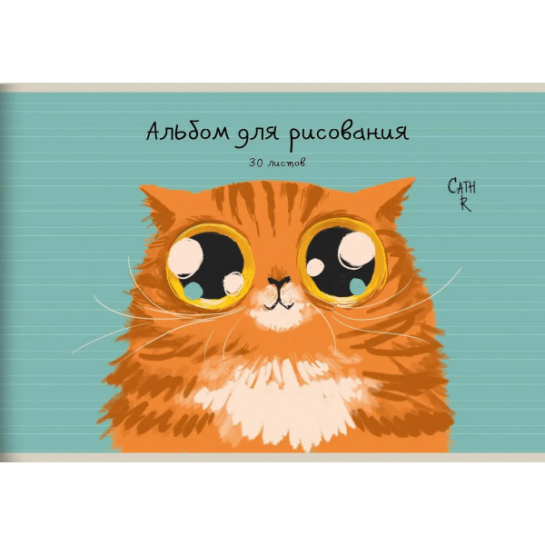 Альбом д/рисования 30л. склейка "Рыжий кот"