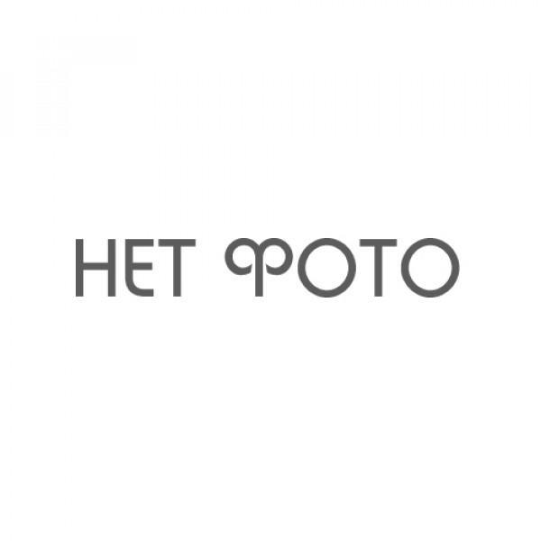 Ручка гелевая STAFF Basic красная 0,5 мм