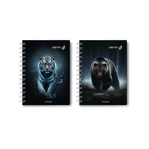 Заисная книжка А6 80л. кл. 7БЦ греб. Сила и смелость