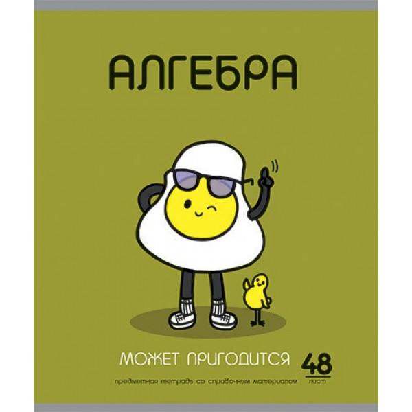 Тетрадь 48л.кл. Алгебра "ИИшница"