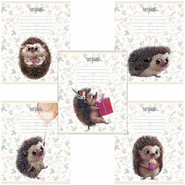 Тетрадь 12л  А5 кл. Ёжик Премиум
