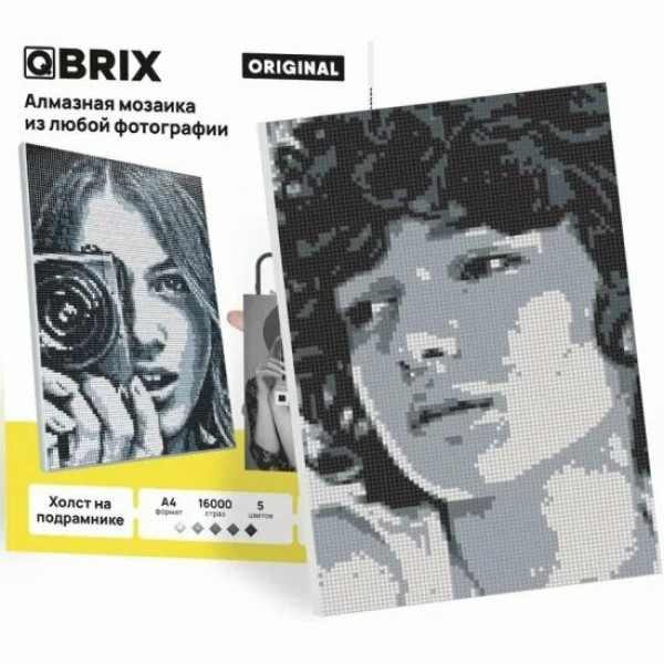 Алмазная фото-мозаика на подрам. ORGINAL А4