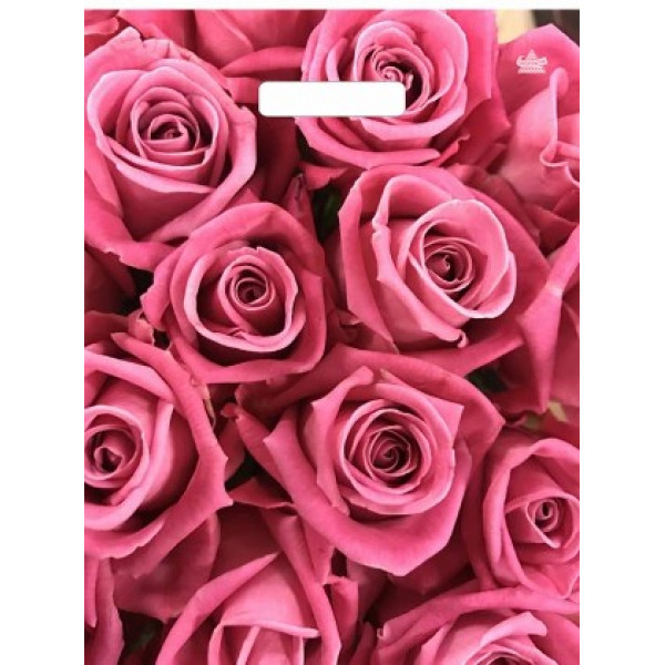 Пакет вырубной Джейми решение 40*31/60мкм.