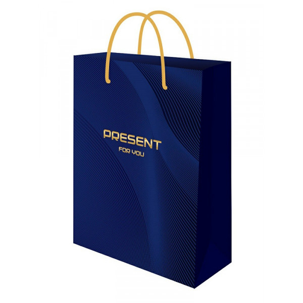 Пакет подарочный Optima с глянц. лам. 22*31*10 (МL) Present