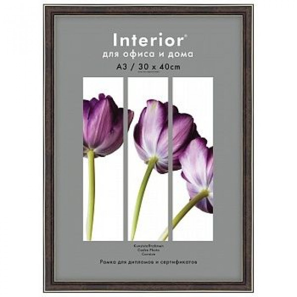 Фоторамка Interion Office 30*40 темный орех 282, стекло