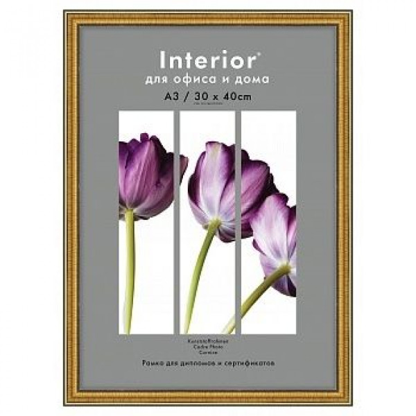 Фоторамка Interion Office 30*40 золото 286, стекло