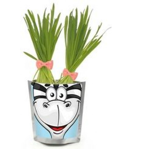 Набор Happy Plant Зебра.