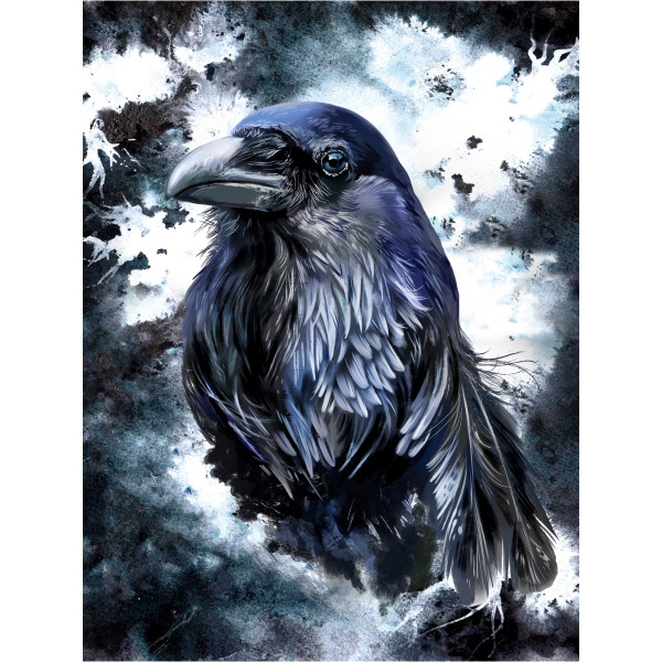 Холст с красками 30*40см по номерам. Мудрый ворон