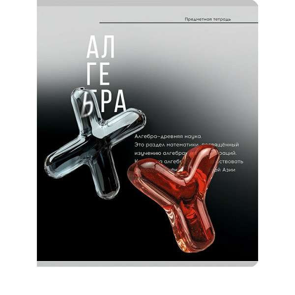 Тетрадь 48л. кл."САМОЦВЕТ" алгебра