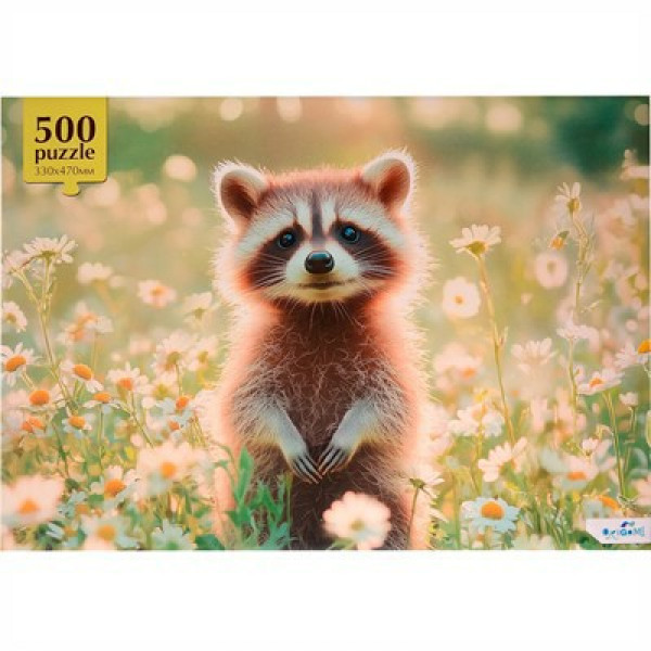 Пазлы 500  Енот
