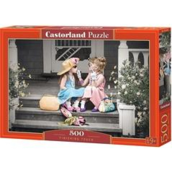 Пазлы 500 дет. Последний штрих Castor Land