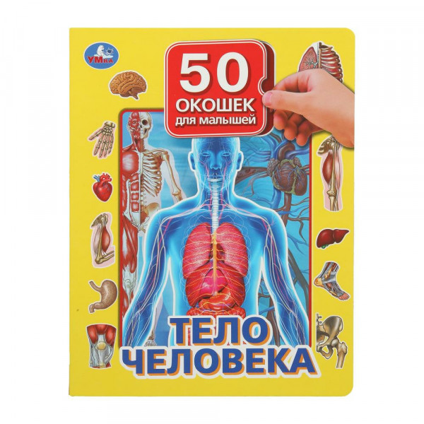 Книжка 10 карт. страниц. Тело человека, 50 окошек для малышей